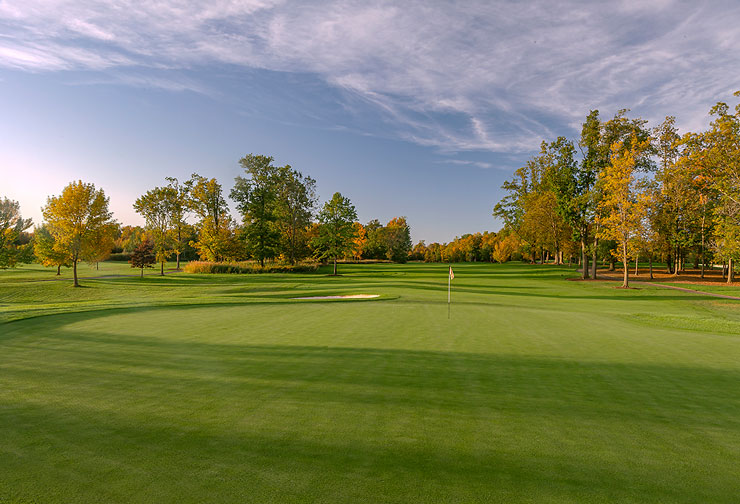 a golf course with trees in the background