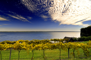 Explore Finger Lakes Wine Country at The Cove